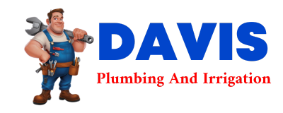 Trusted plumber in RANDLE